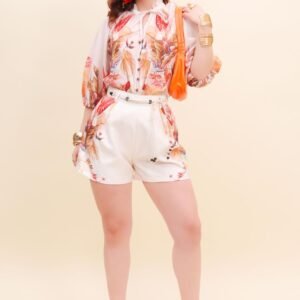 Conjunto HSL4629